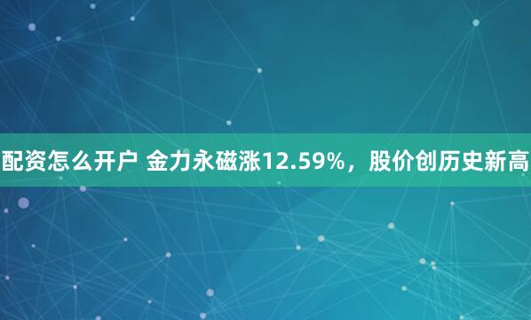 配资怎么开户 金力永磁涨12.59%，股价创历史新高