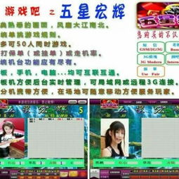 網(wǎng)絡(luò)游戲城 互聯(lián)網(wǎng)游戲生態(tài)的新維度與私服現(xiàn)象探析